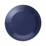 9.25 Inch Flyer (Q493422)