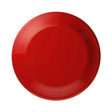 9.25 Inch Flyer (Q493422)