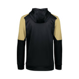 Holloway Blue Chip Hooded Sweatshirt (Q525222)