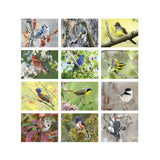 Birds Calendar (Q534722)