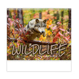 Wildlife Wall Calendars - Spiral (Q550911)
