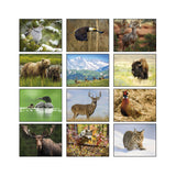 Wildlife Wall Calendars - Spiral (Q550911)