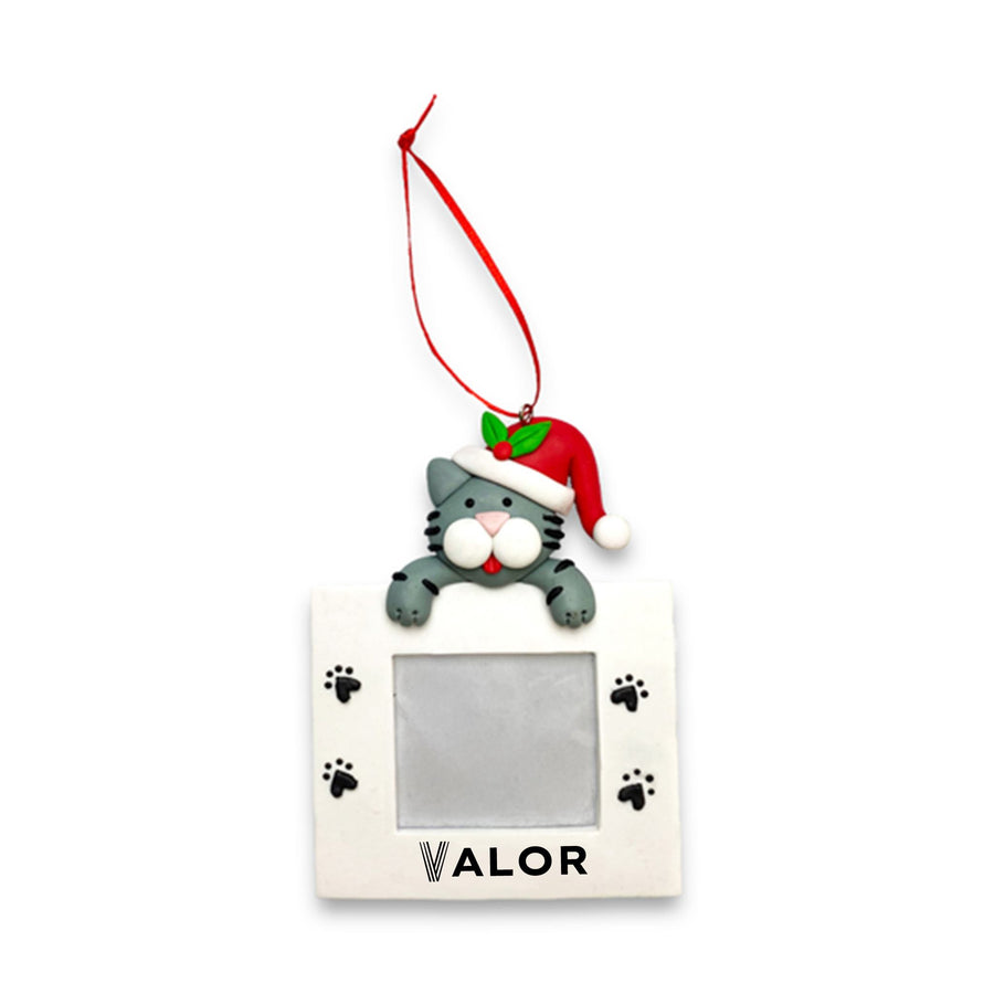 Cat Picture Frame Ornament (Q560222)