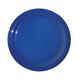 Full Color Digital Sun Fun Value Flyers (Q574411)