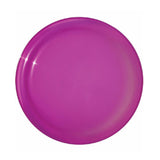 Full Color Digital Sun Fun Value Flyers (Q574411)