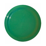 Full Color Digital Sun Fun Value Flyers (Q574411)