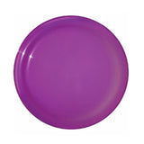 Full Color Digital Sun Fun Value Flyers (Q574411)