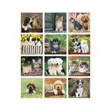 Puppies & Kittens Calendars - Mini (Q576622)