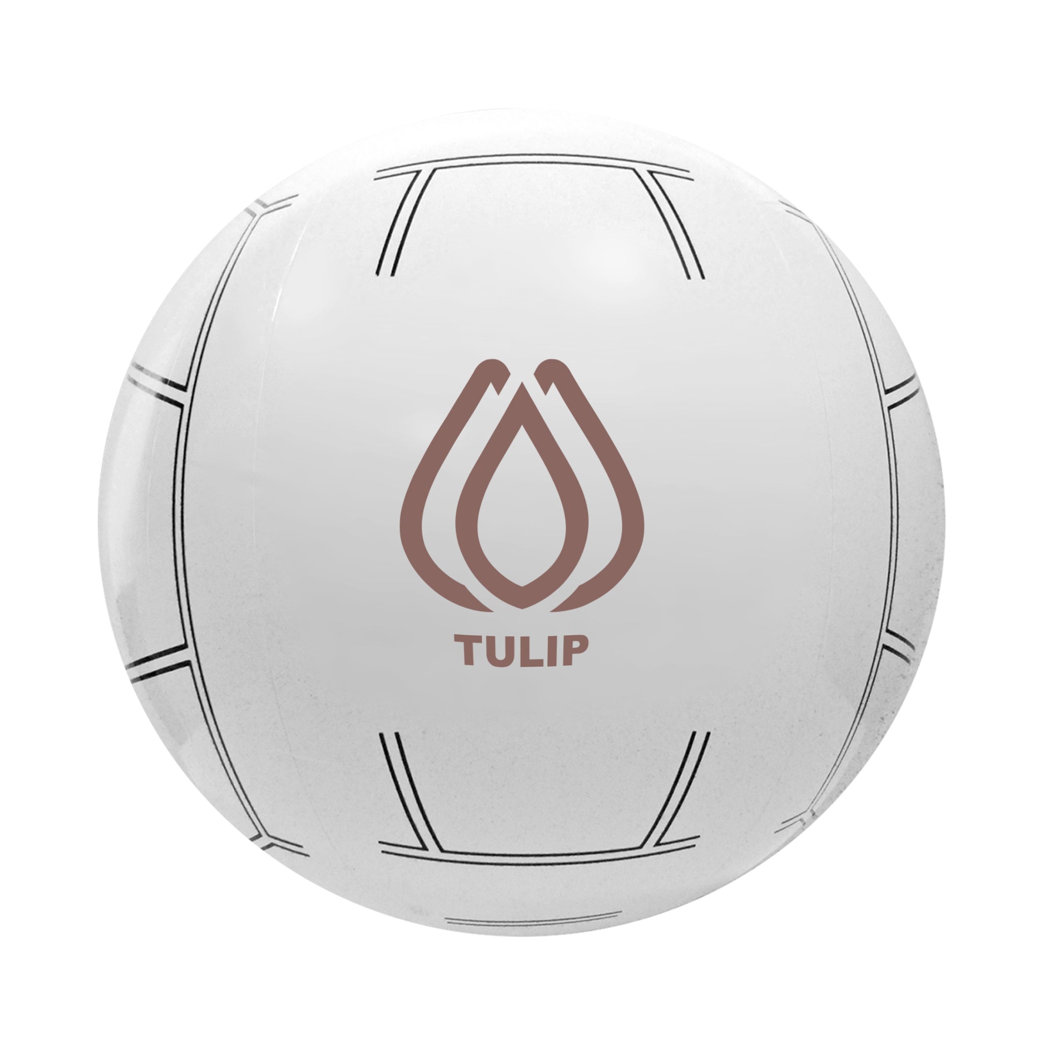 16 Inch Sport Beach Ball - Volleyball  Imprinted with Logo (Q581432)