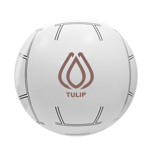 16 Inch Sport Beach Ball - Volleyball (Q581432)