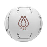 16 Inch Sport Beach Ball - Volleyball  Imprinted with Logo (Q581432)