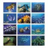 Ocean Glory - Spiral Calendar (Q585722)