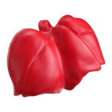 Lungs Stress Reliever (Q603111)