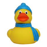 Winter Duck (Q620822)