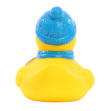 Winter Duck (Q620822)