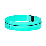 BibBoards Run Belt (Q634532)