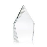 Acrylic Summit Award (Q636311)