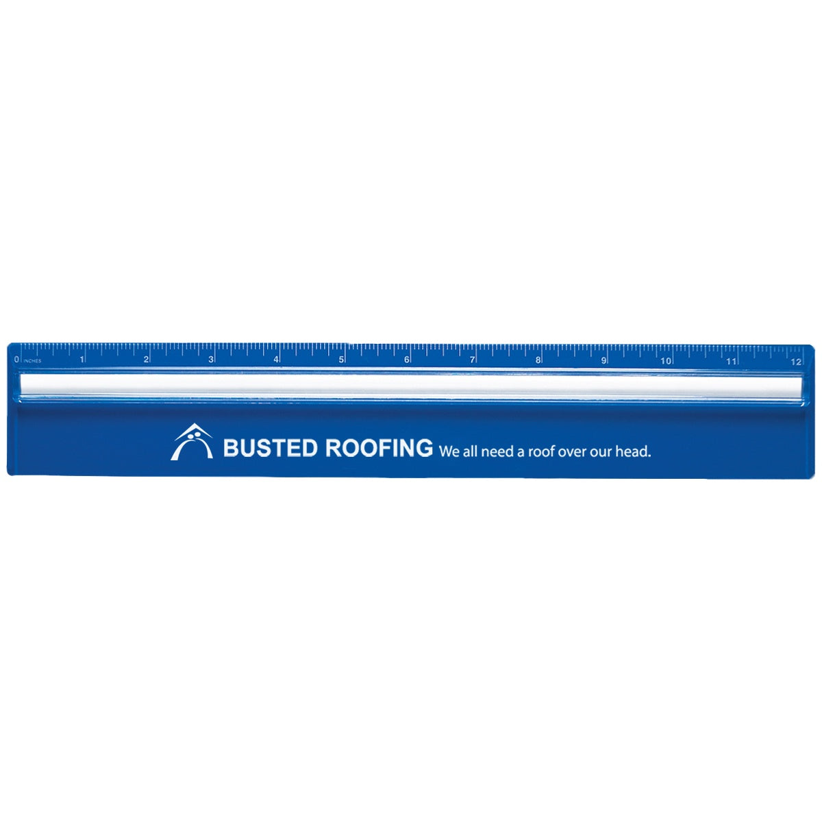 Plastic Rulers with Magnifying Glass (12 Inch) (Q637411)