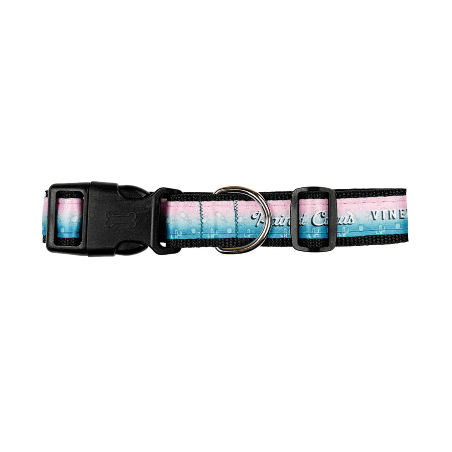1 Inch Pet Collar With Nickel-Plated Hardware - Medium (Q654632)