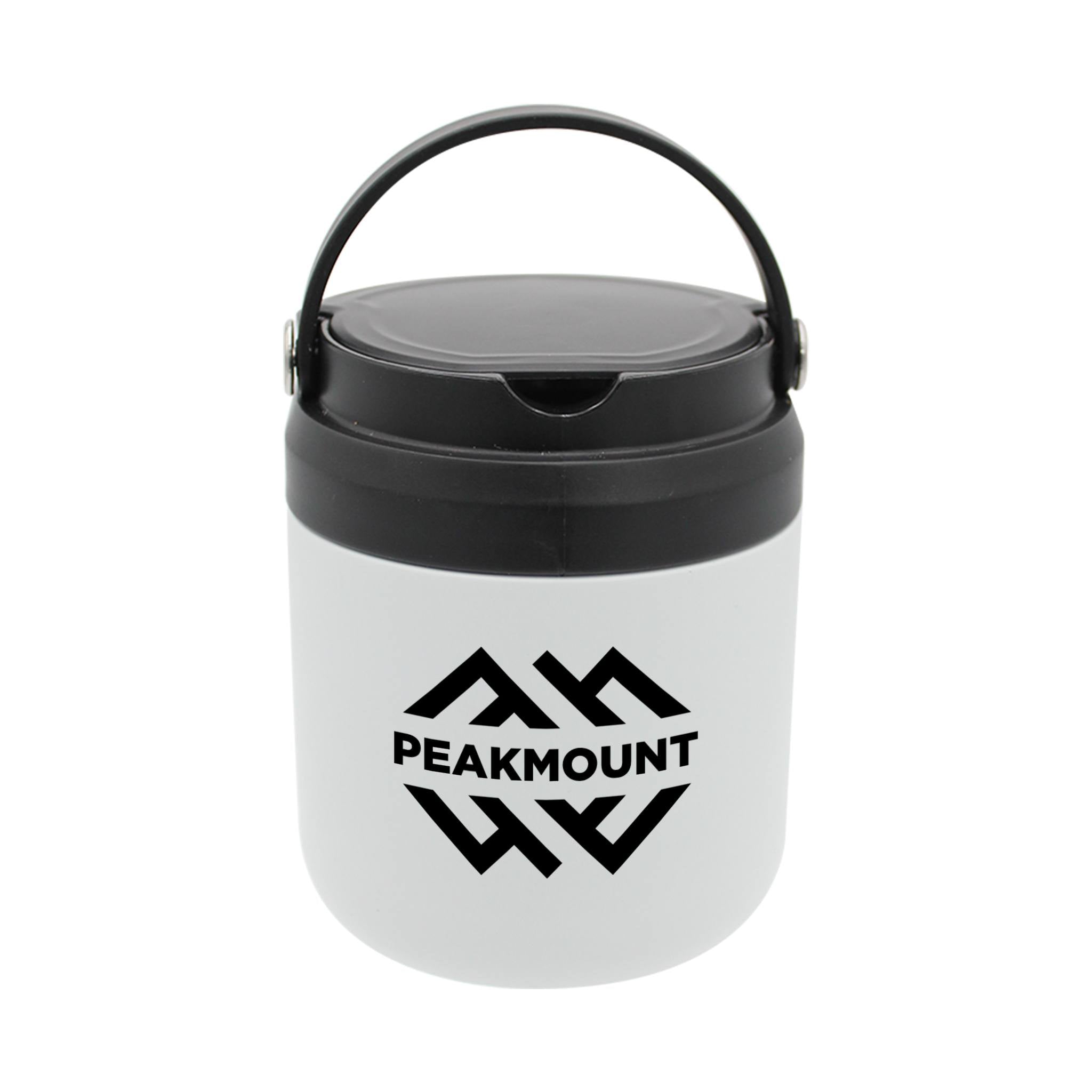 20 Oz. Recycled Stainless Food Container (Q656432)