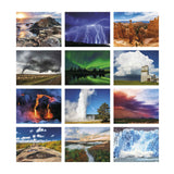 Forces Of Nature Calendar (Q664722)