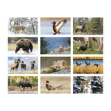 North American Wildlife Calendar (Q665722)