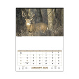 North American Wildlife Calendar (Q665722)
