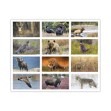 North American Wildlife Calendar (Q665722)