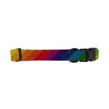 Dog Collar - Large (Q668822)