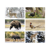 Wildlife Calendar (Q674722)