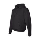 Hanes Adult Ecosmart® Hoodies (Q674811)
