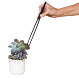 Modern Sprout® Plant Parent Care Kit (Q676332)
