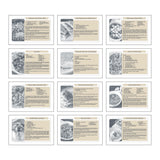 Recipe Pocket Calendar (Q684722)