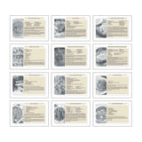 Recipe Pocket Calendar (Q684722)