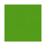 795 Series Wave-A-Hanky - Kelly Green (Q697222)