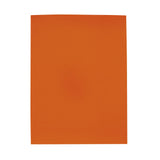 Gloss Paper Folder (Q699111)