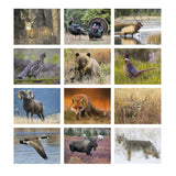 Sportsman Calendar (Q714722)