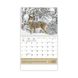 Sportsman Calendar (Q714722)