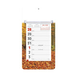 Full-Color Weekly Memo Calendar (Q715722)