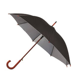 The 48 Inch Auto Open Umbrella With Hook Handle (Q717422)