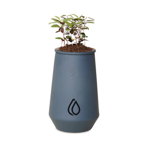 Modern Sprout Tapered Tumbler Grow Kit - Blue Agave/Eucalyptus (Q726332)