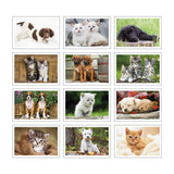 Puppies & Kittens Pocket Calendar (Q755722)