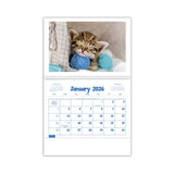 Puppies & Kittens Pocket Calendar (Q755722)