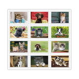 Puppies & Kittens Pocket Calendar (Q755722)