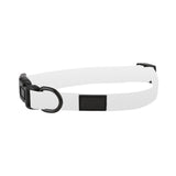 Dog Collar - Medium (Q768822)