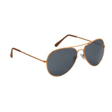 Aviator Sunglasses (Q798235)