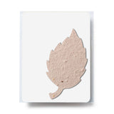 Bloomin Aspen Shaped Plantable Gift Pack (Q805822)