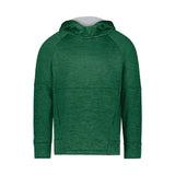 Holloway Youth All-Pro Performance Fleece Hooded Sweatshirt (Q806222)