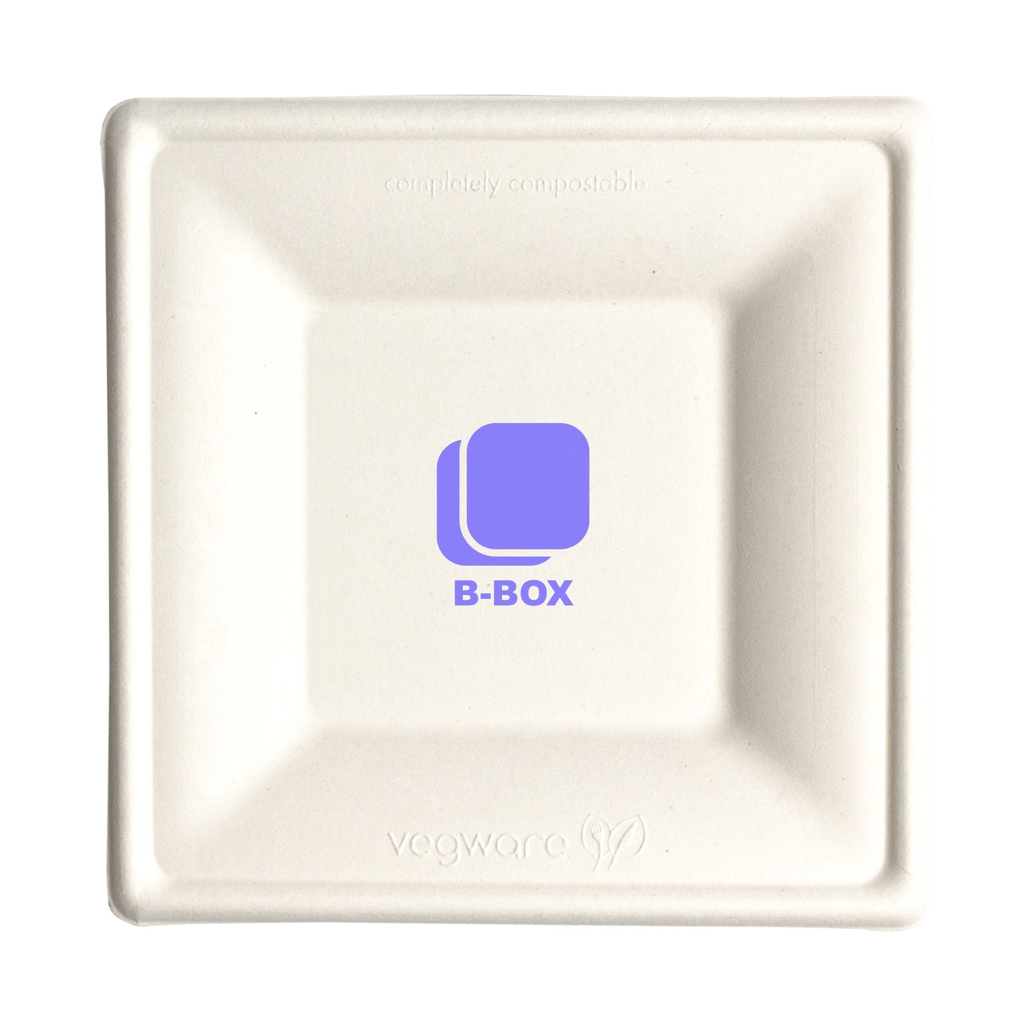 6 Inch Square Compostable Paper Plate Bagasse (Q807332)