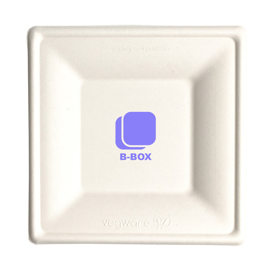 6 Inch Square Compostable Paper Plate Bagasse (Q807332)